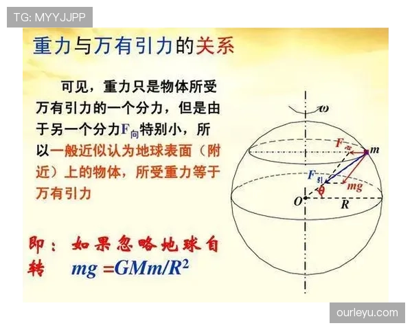 延误比赛违例的规则定义与具体判定标准解析